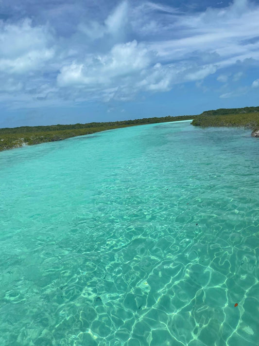 Florida Keys: Your Next Tropical Getaway