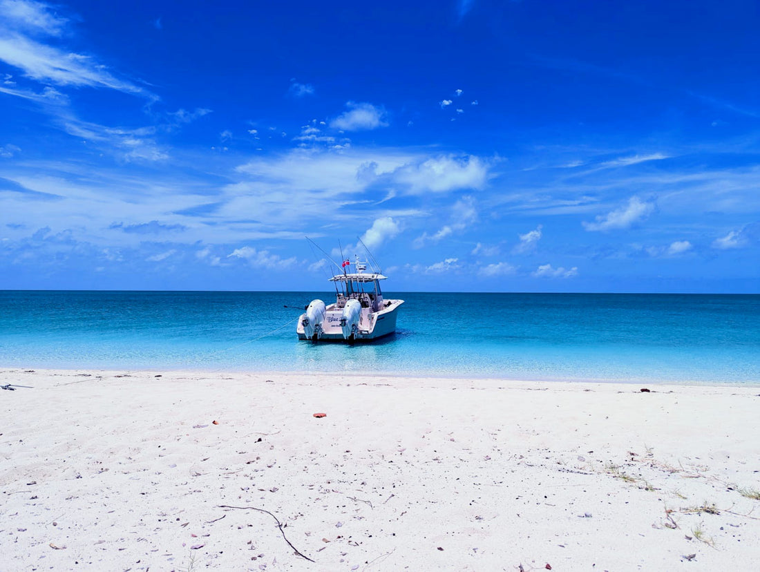 Solving Your Boat Party Problems: How to Choose the Right Teak Boat Table in Bimini