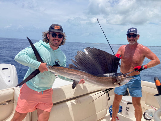 Choosing the Perfect Moment to Mount Your Trophy Sailfish